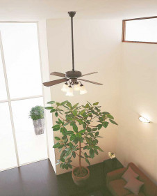 ODELIC �����ǥ�å� ������󥰥ե��� WF772P1 �̿�2