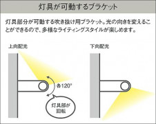 ����� | DAIKO ����ŵ� �֥饱�å� DBK-37389