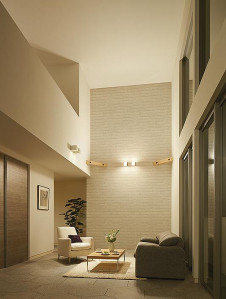 �ܹ��� | DAIKO ����ŵ� �֥饱�å� DBK-40556Y