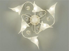 ���ͼ̿� | DAIKO ����ŵ� �����ǥꥢ DCH-38783Y