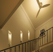 �ܹ��� | DAIKO ����ŵ� ������饤�� DDL-4829WW