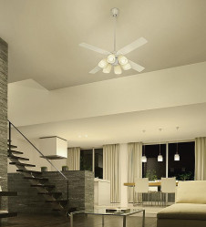 �ܹ��� | DAIKO ����ŵ� �����ڥ����� DPN-37148