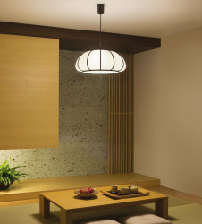 �ܹ��� | DAIKO ����ŵ� �����ڥ����� DPN-38875Y