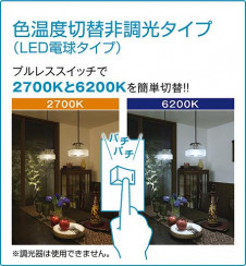 ����� | DAIKO ����ŵ� �����ڥ����� DPN-39803