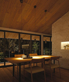 �ܹ��� | DAIKO ����ŵ� �ڥ����� DPN-40661Y