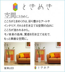 ����� | DAIKO ����ŵ� ���ݥåȥ饤�� DSL-5240YW