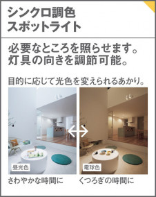 Panasonic LED ���ݥåȥ饤�� LGB54350LU1 �̿�1