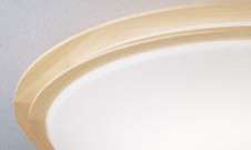 Panasonic LED 󥰥饤 LGBZ0560 ̿2