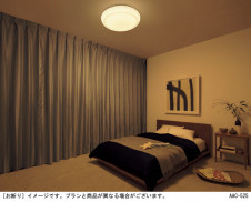 Panasonic LED ������󥰥饤�� LGBZ1612 �̿�2