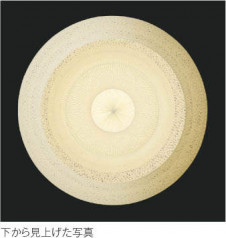 KOIZUMI �������߾��� �ڥ����� AP50305 �̿�2