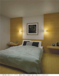 KOIZUMI �������߾��� �֥饱�å� AB38514L �̿�3