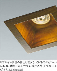 KOIZUMI �������߾��� �ⵤ̩������饤�� AD45096L �̿�1