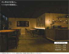 KOIZUMI ߾ 饤ȥȥ AE48150E ̿2