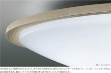 KOIZUMI �������߾��� ������� AH49332L �̿�1