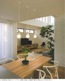 KOIZUMI �������߾��� �ڥ����� AP35746L �̿�4