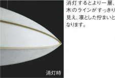 KOIZUMI �������߾��� �����ڥ����� AP35759L �̿�3