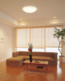 ODELIC �����ǥ�å� ������󥰥饤�� OL251417BC �̿�1