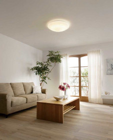 ODELIC �����ǥ�å� ������󥰥饤�� OL251831BC �̿�2