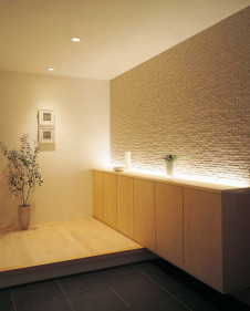 ODELIC ǥå Ѵܾ OL251950 ̿1