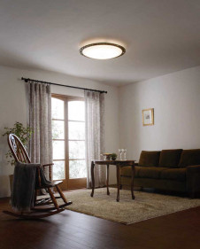 ODELIC �����ǥ�å� ������󥰥饤�� OL291006BC �̿�2