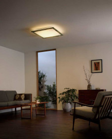 ODELIC ǥå 󥰥饤 OL291087BC ̿1