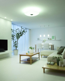 ODELIC ǥå 󥰥饤 OL291168BR ̿3