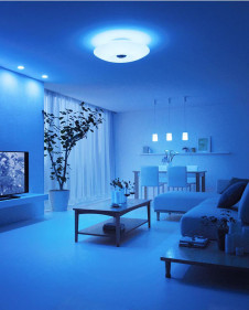 ODELIC ǥå 󥰥饤 OL291169BR ̿2