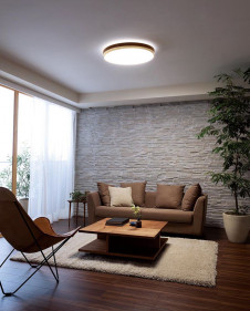 ODELIC �����ǥ�å� ������󥰥饤�� OL291296BC �̿�1