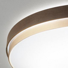 ODELIC ǥå 󥰥饤 OL291297 ̿2