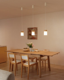 ODELIC �����ǥ�å� �ڥ����ȥ饤�� OP252432PC �̿�1