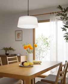 ODELIC �����ǥ�å� �ڥ����ȥ饤�� OP252512PC �̿�3