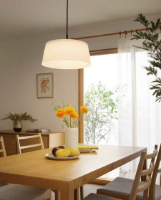 ODELIC �����ǥ�å� �ڥ����ȥ饤�� OP252512PC �̿�4