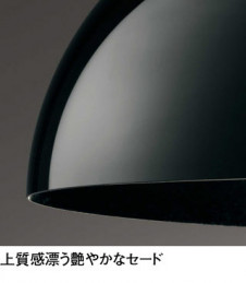 ODELIC �����ǥ�å� �ڥ����ȥ饤�� OP252591PC �̿�1