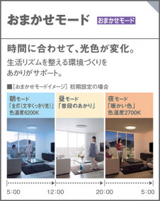 Panasonic 󥰥饤 LGC30110 ̿6