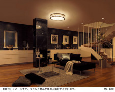 Panasonic ������󥰥饤�� LGC40112 �̿�2