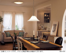 Panasonic ������󥰥饤�� LGC51131 �̿�4