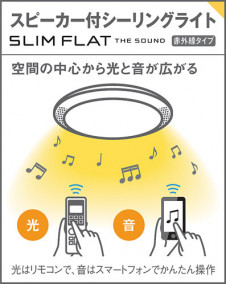 Panasonic ������󥰥饤�� LGC51170 �̿�2