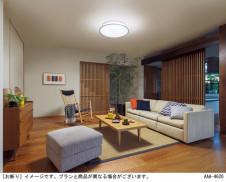 Panasonic ������󥰥饤�� LGC5160J �̿�1