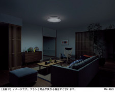 Panasonic ������󥰥饤�� LGC5160J �̿�4