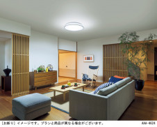 Panasonic ������󥰥饤�� LGC5160J �̿�5