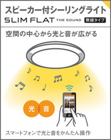 Panasonic 󥰥饤 LGCX31170 ̿4