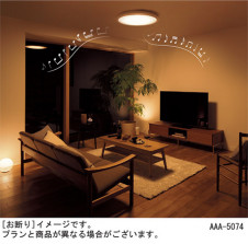 Panasonic ������󥰥饤�� LGCX31171 �̿�2