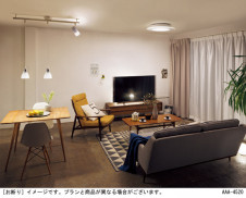 Panasonic ������󥰥饤�� LGCX38101 �̿�2