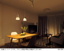 Panasonic ������󥰥饤�� LGCX38101 �̿�6