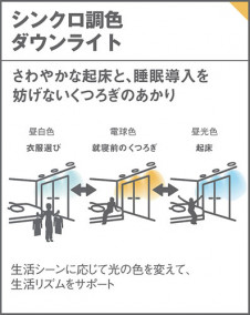 Panasonic ������饤�� LGD3123LU1 �̿�5