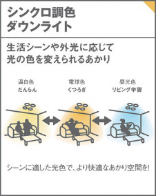 Panasonic ������饤�� LGD3124LU1 �̿�4