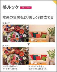 Panasonic ������饤�� XAD1112NCE1 �̿�5