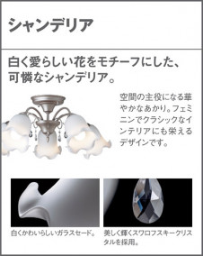 Panasonic �����ǥꥢ LGB57322 �̿�4