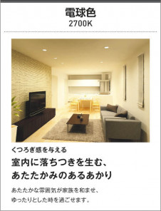 KOIZUMI �������߾��� �֥饱�å� AB42288L ��������