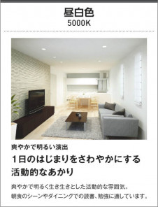 KOIZUMI �������߾��� �ⵤ̩������饤�� AD41924L ��������